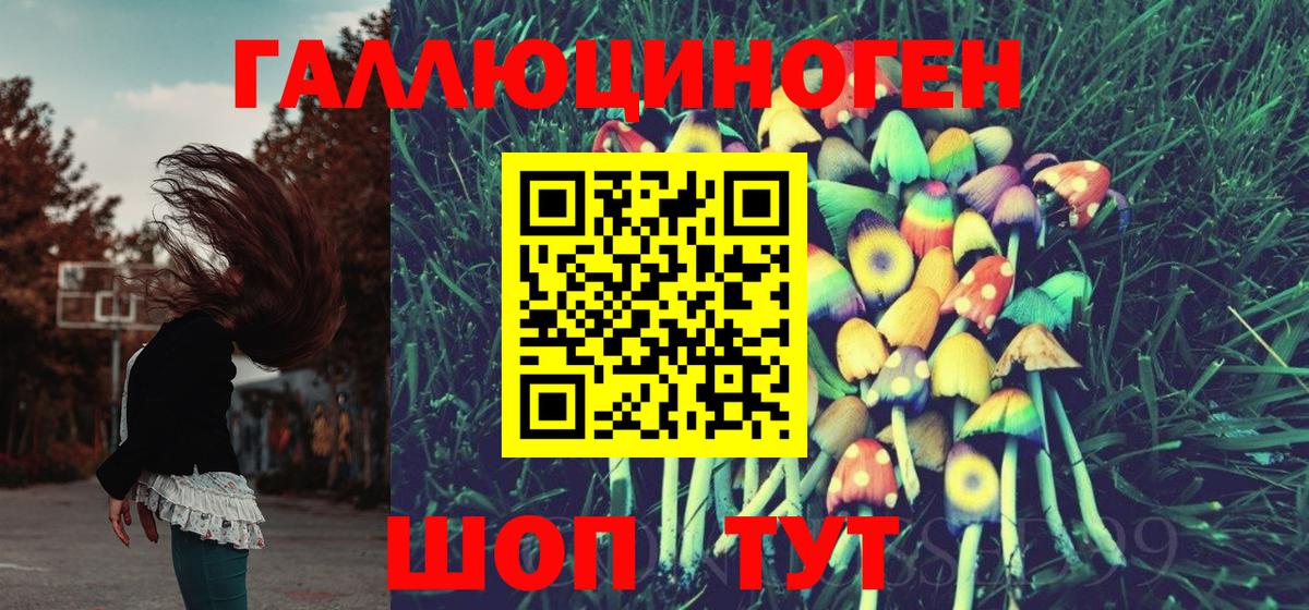 Псилоцибиновые грибы GOLDEN TEACHER Новочеркасск