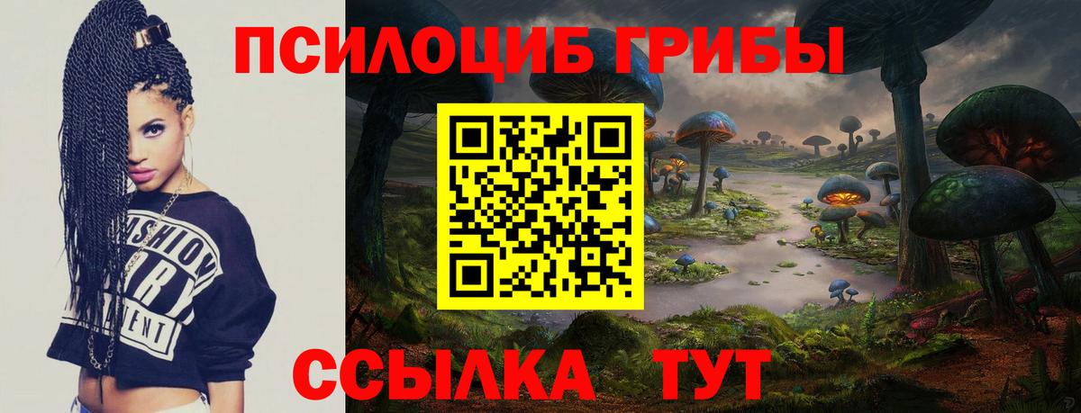 Новочеркасск  Галлюциногенные грибы мицелий  Вход с VPN 